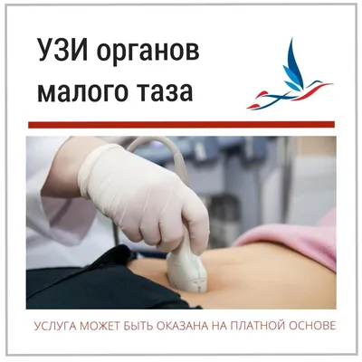 УЗИ органов малого таза в Новосибирске 💉 - цены УЗИ в клинике \"Апекс\"