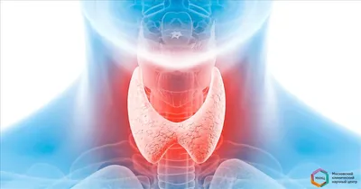 УЗИ щитовидной железы | Пройти ультразвуковую диагностику в «ЦЕНТР МЕДИЦИНЫ  ТРУДА» в Серпухове