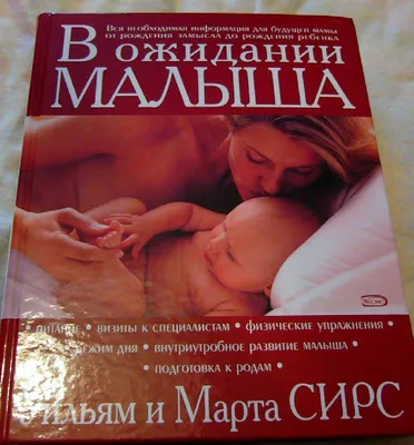 В ожидании праздника: сколько стоят цветы в Запорожье в преддверии 8 марта  (ФОТО) | Портал Акцент