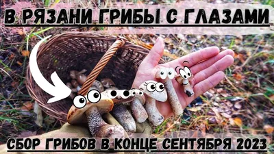 Грибы с глазами