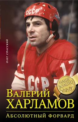 Сорок лет без Харламова. Кто виноват в гибели легендарного хоккеиста - РИА  Новости Спорт, 27.08.2021