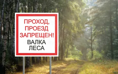 Валка деревьев в Москве. Завалить дерево в Московской области.