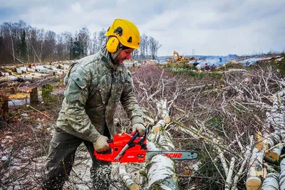 2920 Техника безопасности при работе с бензомоторной пилой. Валка леса  (909) купить в Минске, цена