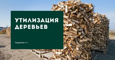 Пришел, увидел и… спилил. Златоуст окольцевали лесные вырубки и посадки |  15.07.2020 | Златоуст - БезФормата