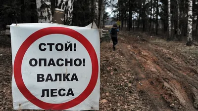 Валка деревьев в Москве. Завалить дерево в Московской области.