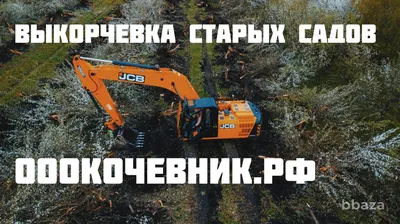 Валка деревьев в Санкт-Петербурге и Ленобласти частями по выгодной цене