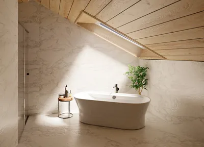 3д визуализация Дизайн интерьера ванной комнаты на мансарде в Чернигове. |  3dlancer.net