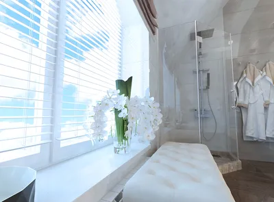 просторная ванная комната класса люкс в мансарде Стоковое Изображение -  изображение насчитывающей туалет, нутряно: 219487811