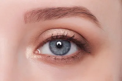 Макияж глаз 2023-2024: модные тенденции для карих, зеленых, голубых и серых  глаз
