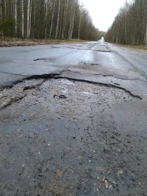 📷 Вид на часовню на роднике Святого Преподобного Варнавы Ветлужского.  Варнавино