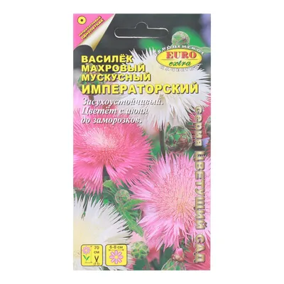 Семена Василек мускусный Невеста Однолетние 0,3 гр. купить в Москве, цена в  интернет-магазине