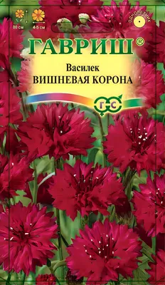 Русский Огород Семена Цветы Василек мускусный Империя, смесь