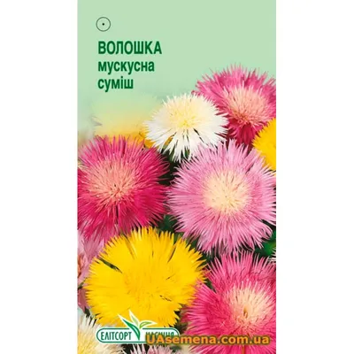 Василек Букетный ,смесь 0,2 гр. купить оптом в Томске по цене 16,16 руб.