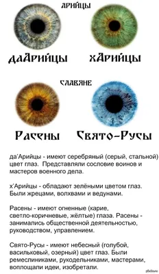 Картина по номерам Васильковые глаза (Brushme GX35257) купить недорого.