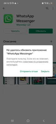 Почему не работает WhatsApp на смартфоне: прекращение работы на старых ОС  Android и iOS с 24 октября