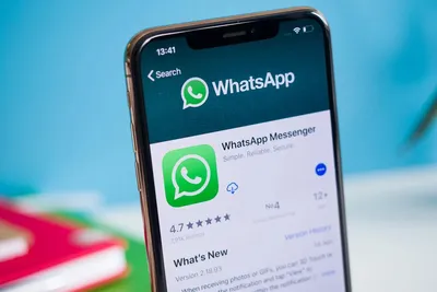 WhatsApp уже не работает на устройствах с системой Windows Phone – Moldova  today