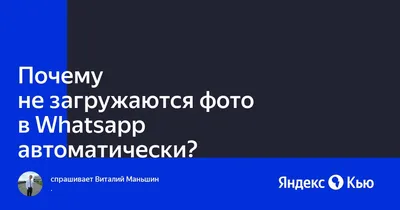 Почему не загружаются фото в Whatsapp автоматически?» — Яндекс Кью