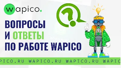 Как запретить WhatsApp автоматически сохранять фото и видео -  AndroidInsider.ru