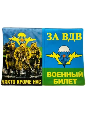 Медведь ВДВ - никто, кроме нас бейсболка (цвет: черный) | Все футболки  интернет магазин футболок. Дизайнерские футболки, футболки The Mountain,  Yakuza, Liquid Blue