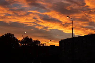 Вечерний закат в Брянской области. #брянск #брянск32 #закат  #брянскаяобласть #bryansk #bryansk32 | Instagram
