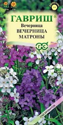 Вечерница матроны КЛАССИКА. Прочие однолетние. Семена цветов.  Интернет-магазин Уральский дачник