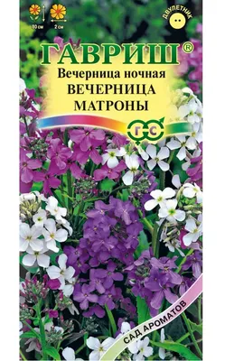 Вечерница, смесь окрасок – купить в питомнике \"КСП\" с доставкой по России