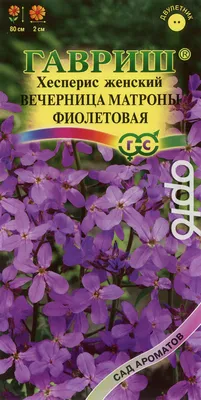 Семена Цветы, Хесперис, Вечерница Матроны фиолетовая, 0.1 г, Сад ароматов,  цветная упаковка, Гавриш в Обнинске: цены, фото, отзывы - купить в  интернет-магазине Порядок.ру