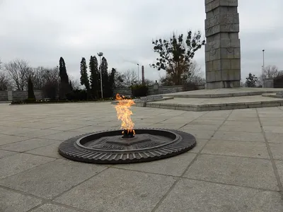 В Гродно подростки залили Вечный огонь напитком и выложили видео в интернет  – почему так произошло и