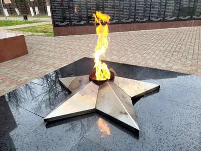 Жители Петропавловска в Казахстане возмущены заброшенностью Вечного огня |  ИА Красная Весна