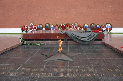 В Москве проверят состояние Вечного огня у Кремлевской стены | ИА Красная  Весна