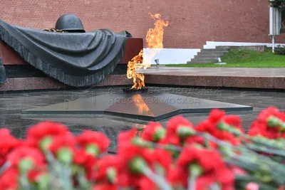 12 интересных фактов о могиле Неизвестного солдата | by Москва 24 | Medium