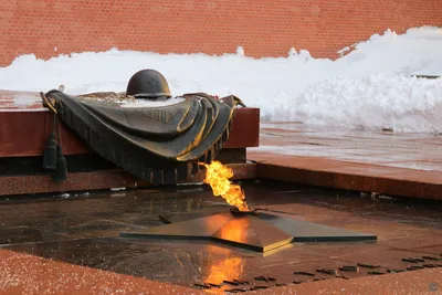 Вахта памяти. Вечный огонь» в Александровском саду – события на сайте  «Московские Сезоны»