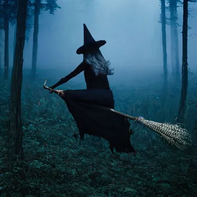 Красивая ведьма в лесу, рыжая …» — создано в Шедевруме