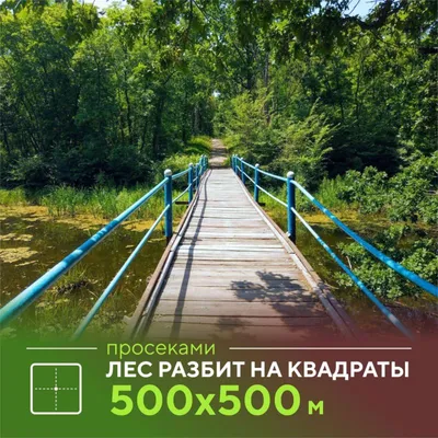 Файл:Форест парк 005.jpg — Википедия