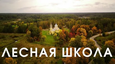 Великоанадольский лес (72 фото) »