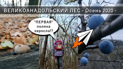 Города и села Волновахского района: онлайн путеводитель по району