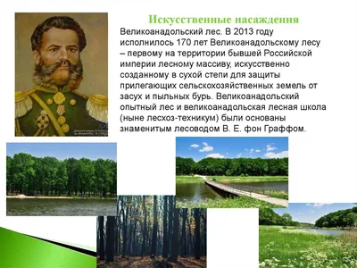 Колыбель Русского Лесоводства Лисино-Корпус #автодом #вэнлайф - YouTube