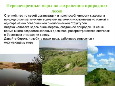 Рукотворный лес на востоке Украины. Польские сюжеты