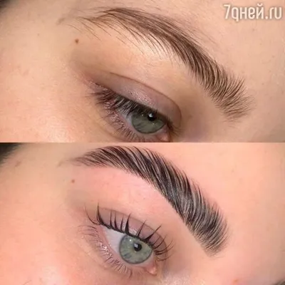 Salon Brow Artist. Ламинирование бровей — Raevska Style