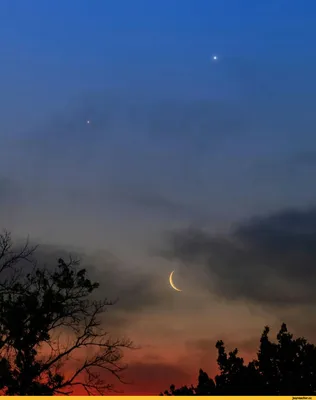 Вид на Венеру в небе невооружённым глазом и в полевой бинокль | Вячеслав  Сигачёв | Дзен