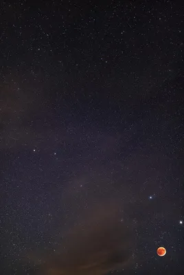Накануне ночью в небе Анапы можно было увидеть сближение Венеры и Юпитера