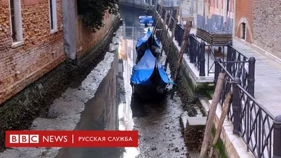 Венеция: обычно наводнения, но теперь пересохшие каналы. Фотографии - BBC  News Русская служба