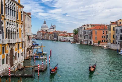 Вода в Гранд-канале в Венеции по неизвестным причинам стала зеленой (фото)