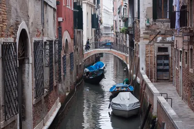 Последствия подъема воды в Венеции. Фоторепортаж — РБК