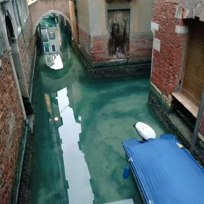 Из-за карантина в каналах Венеции вода стала чистой - РИА Новости,  18.03.2020