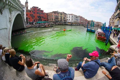 Вода Гранд-канала в Венеции окрасилась в зеленый цвет | Euronews
