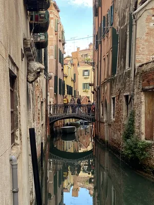 Каналы Венеции остались без воды, гондолы увязли в иле: ФОТО - ForumDaily
