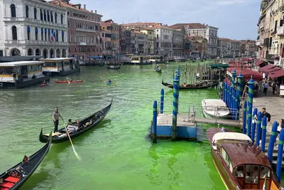 В Венеции вода Большого канала окрасилась в ярко-зелёный цвет