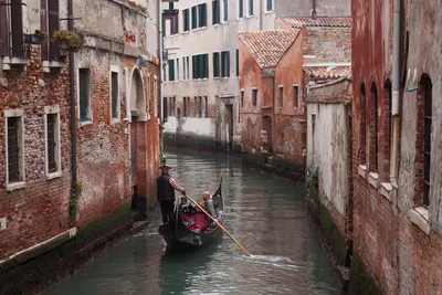 Вода в Венеции резко позеленела. Что произошло? - Телеканал «Моя Планета»