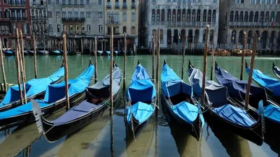 В Венеции из-за отливов сильно упал уровень воды - РИА Новости, 01.03.2021